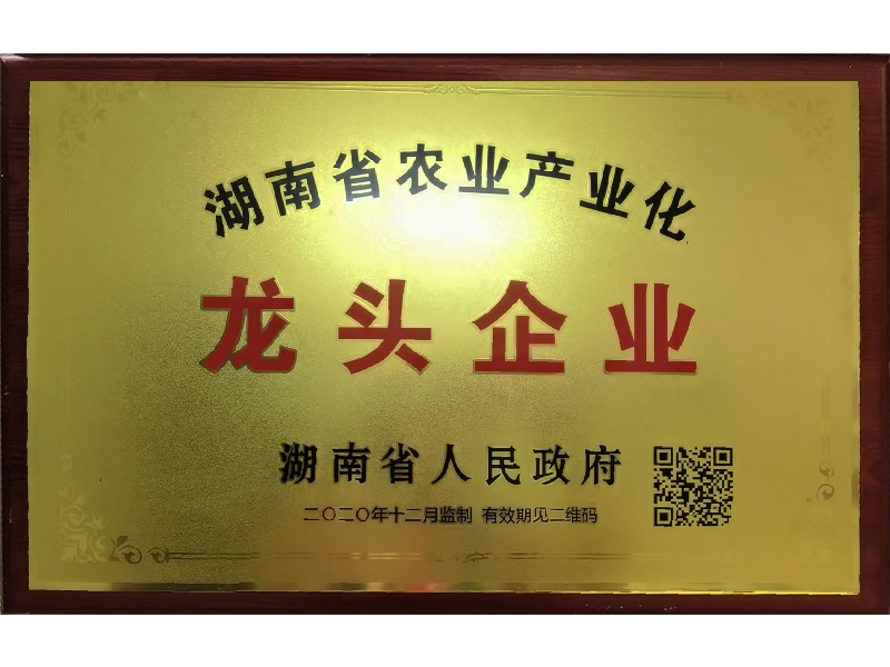 岳陽市漁之源食品有限公司,岳港漁都,洞庭魚港,散稱系列,田螺系列,臭豆腐加工，香豆腐加工，烤脖加工，魚仔,鴨排加工、雞丁加工代加工